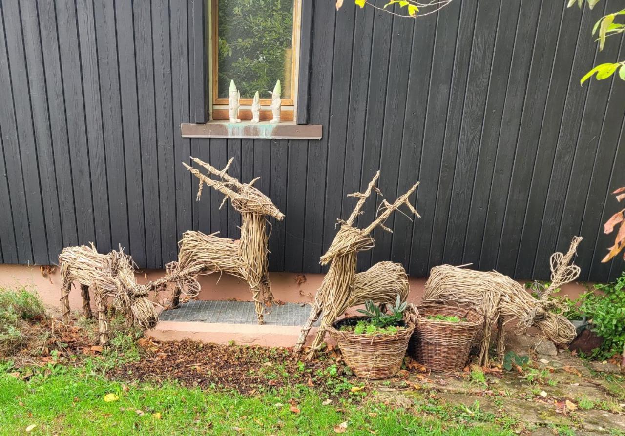 Le Breit Maison De Charme Avec Sa Dependance Breitenbach 外观 照片